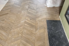 3651579085350266757
